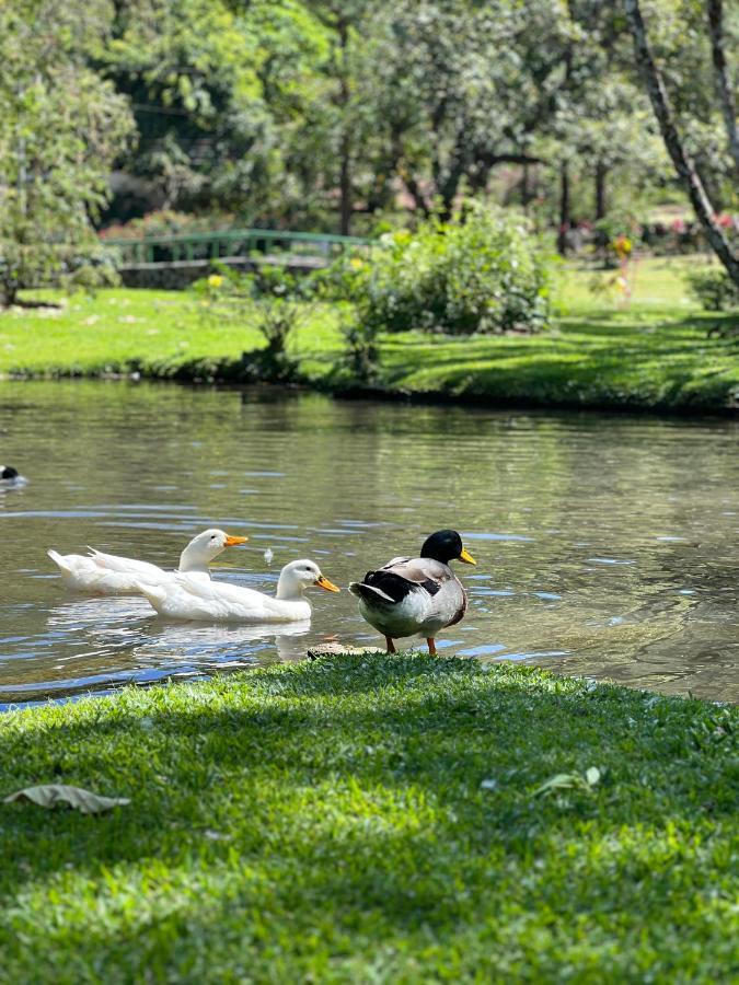 La Casa De Los Patos El Valle de Anton Exteriér fotografie