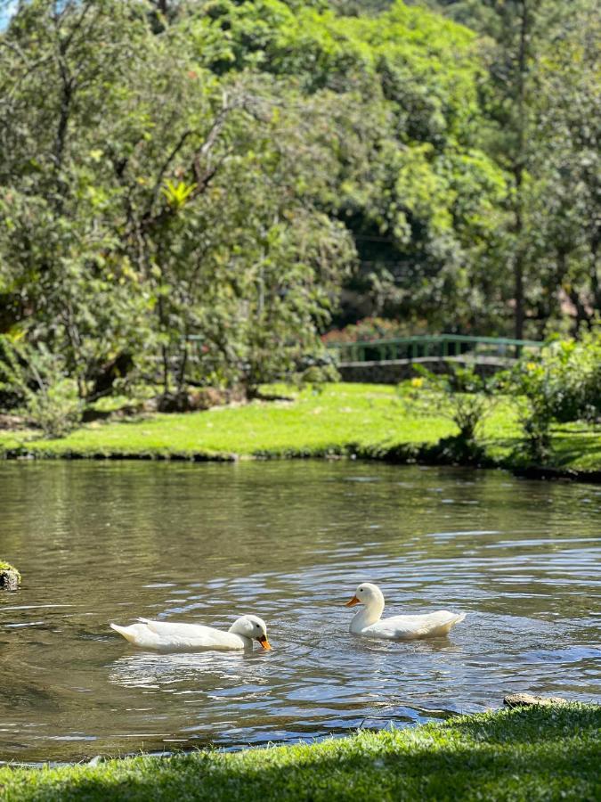 La Casa De Los Patos El Valle de Anton Exteriér fotografie